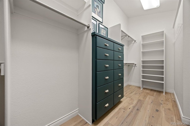 344 Saint Paul St, Denver, CO 80206 - spacious closet featuring light wood finished floors