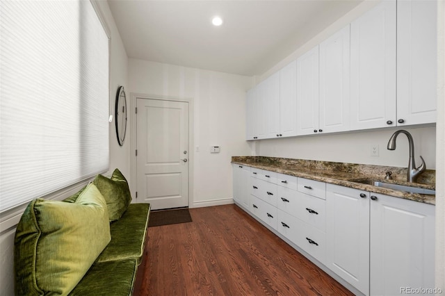 344 Saint Paul St, Denver, CO 80206 - laundry room with a sink, dark wood finished floors, and recessed lighting