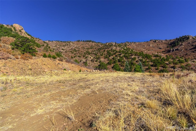 717 Highlands Dr, Canon City, CO 81212 - photo 6