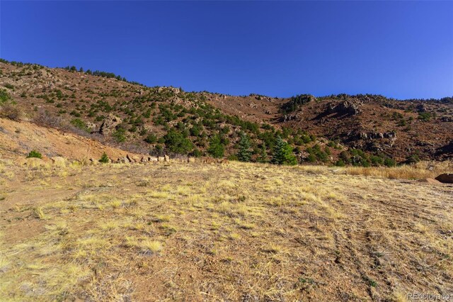 717 Highlands Dr, Canon City, CO 81212 - photo 7