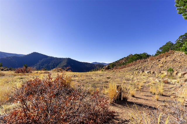 717 Highlands Dr, Canon City, CO 81212 - photo 9