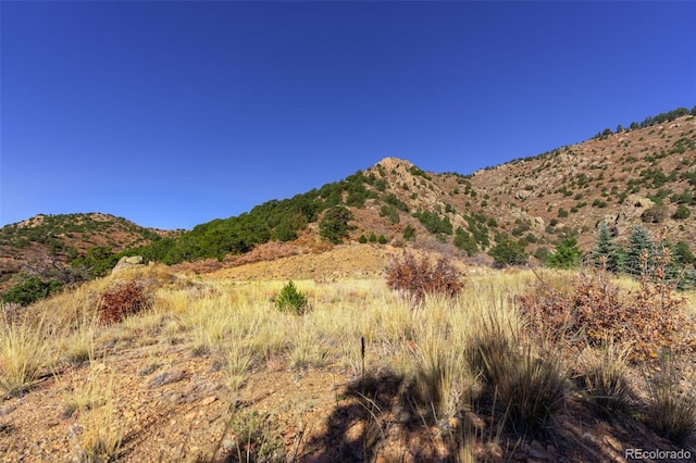 717 Highlands Dr, Canon City, CO 81212 - photo 10