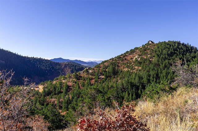717 Highlands Dr, Canon City, CO 81212 - photo 25