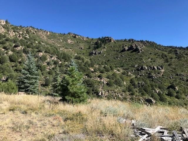 717 Highlands Dr, Canon City, CO 81212 - photo 31