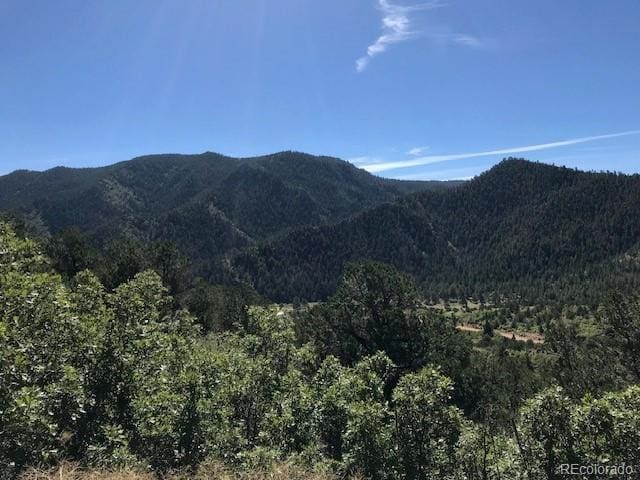 717 Highlands Dr, Canon City, CO 81212 - photo 33