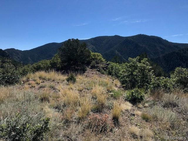 717 Highlands Dr, Canon City, CO 81212 - photo 34