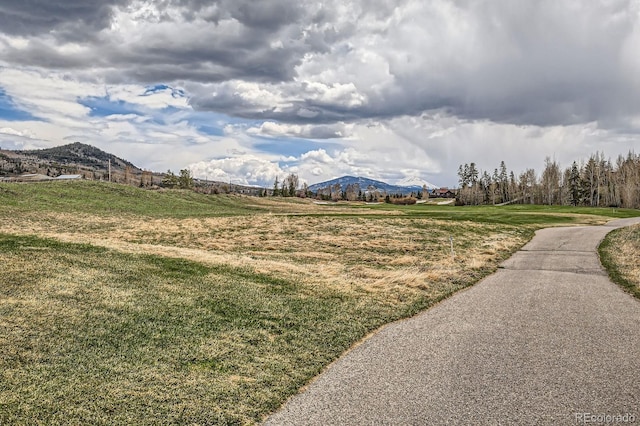 320 Kestrel Ln, Silverthorne, CO 80498 - photo 27