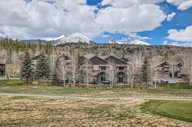 320 Kestrel Ln, Silverthorne, CO 80498 - photo 29