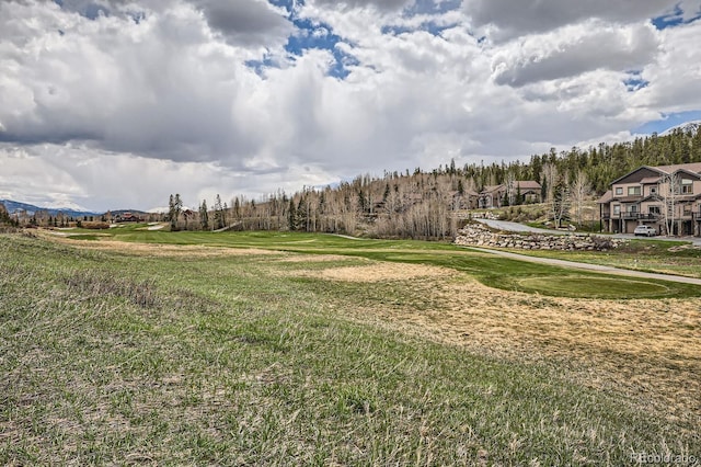 320 Kestrel Ln, Silverthorne, CO 80498 - photo 26