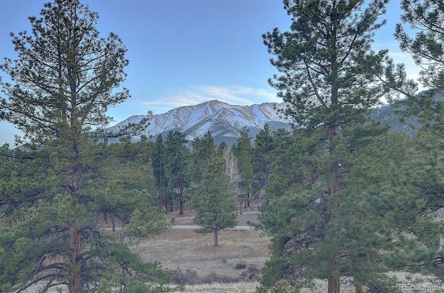 18202 Alta Vista Dr, Buena Vista, CO 81211 - view of mountain background