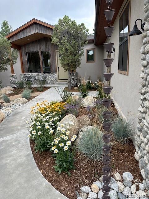 18202 Alta Vista Dr, Buena Vista, CO 81211 - view of yard