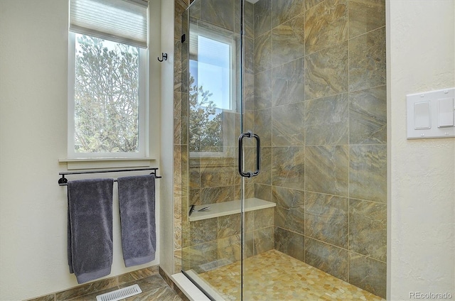 18202 Alta Vista Dr, Buena Vista, CO 81211 - bathroom featuring a shower stall