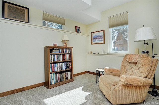 18202 Alta Vista Dr, Buena Vista, CO 81211 - sitting room with baseboards and carpet flooring