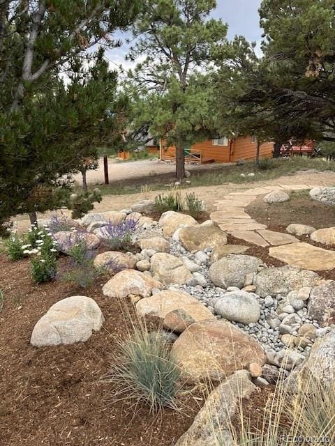 18202 Alta Vista Dr, Buena Vista, CO 81211 - view of yard