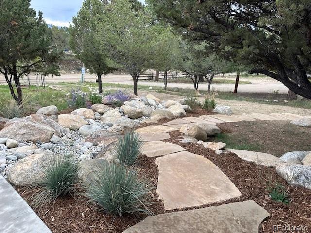 18202 Alta Vista Dr, Buena Vista, CO 81211 - view of yard