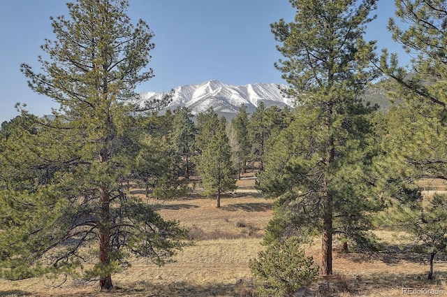 18202 Alta Vista Dr, Buena Vista, CO 81211 - view of mountain backdrop
