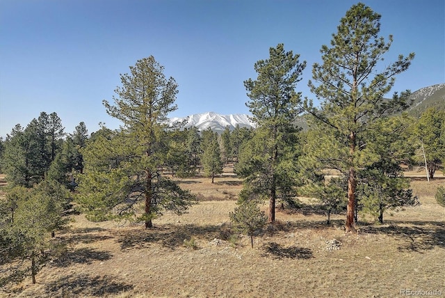18202 Alta Vista Dr, Buena Vista, CO 81211 - view of nature with mountains