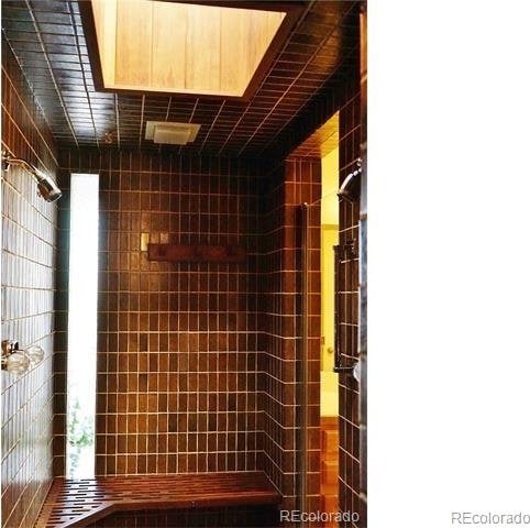 bathroom with a skylight