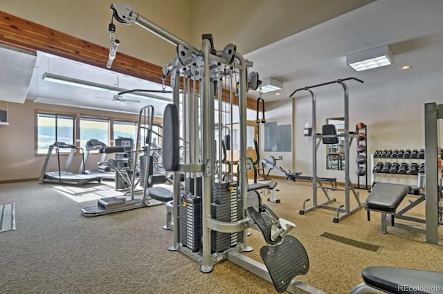 170 Gcr 838 Unit 6, Fraser, CO 80442 - workout area with baseboards, carpet, and a ceiling fan