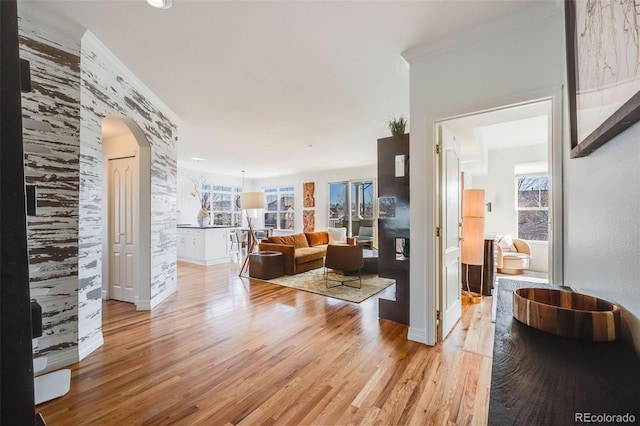 111 S Monroe St Unit B203, Denver, CO 80209 - living room featuring arched walkways, light wood-style floors, and ornamental molding