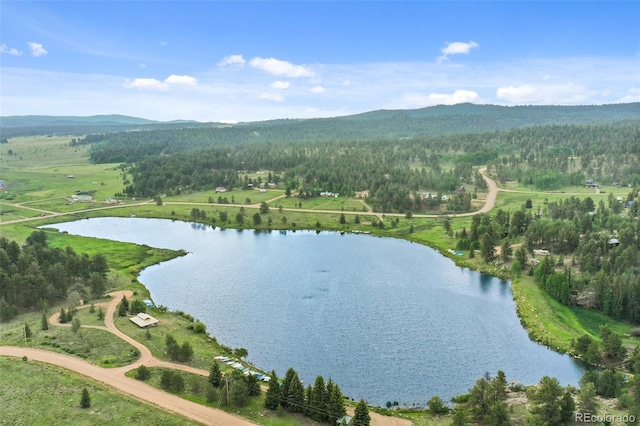 6804 County Rd 98, Florissant, CO 80816 - photo 5