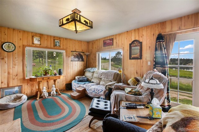 6804 County Rd 98, Florissant, CO 80816 - photo 10