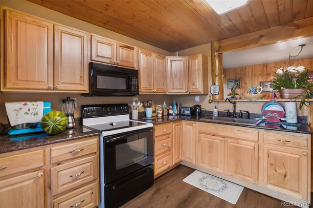 6804 County Rd 98, Florissant, CO 80816 - photo 17