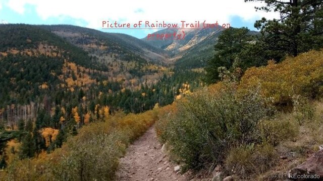 28 County Road 136, Westcliffe, CO 81252 - view of mountain feature featuring a wooded view