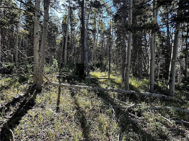 LOT2652 Petito Dr, Fort Garland, CO 81133 - photo 1