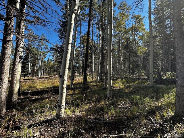 LOT2652 Petito Dr, Fort Garland, CO 81133 - photo 2