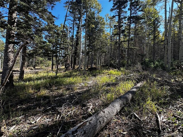 LOT2652 Petito Dr, Fort Garland, CO 81133 - photo 3