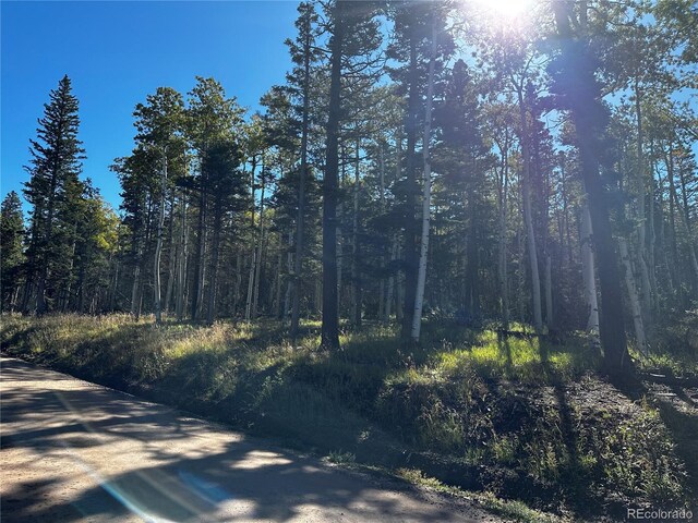 LOT2652 Petito Dr, Fort Garland, CO 81133 - photo 4