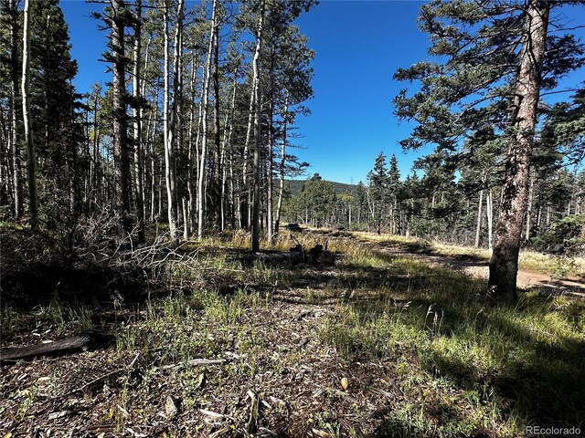 LOT2652 Petito Dr, Fort Garland, CO 81133 - photo 5