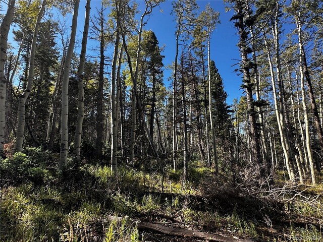 LOT2652 Petito Dr, Fort Garland, CO 81133 - photo 6