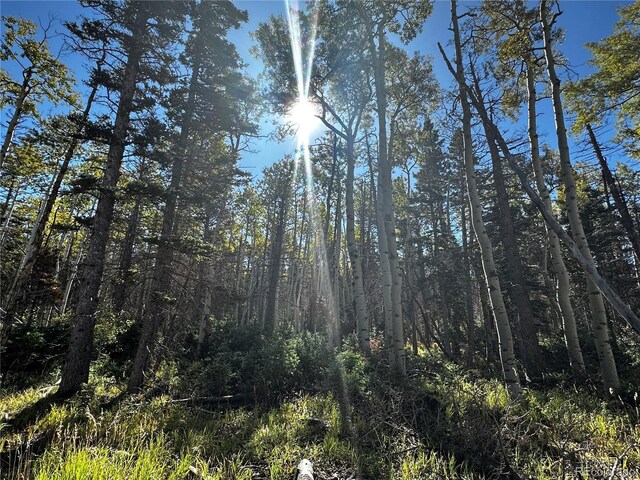 LOT2652 Petito Dr, Fort Garland, CO 81133 - photo 7