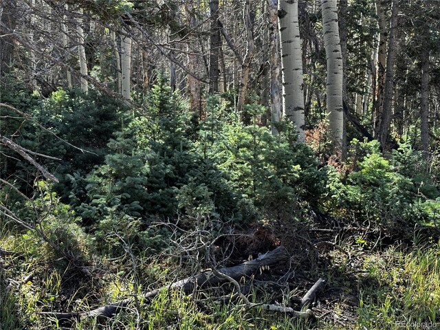 LOT2652 Petito Dr, Fort Garland, CO 81133 - photo 8