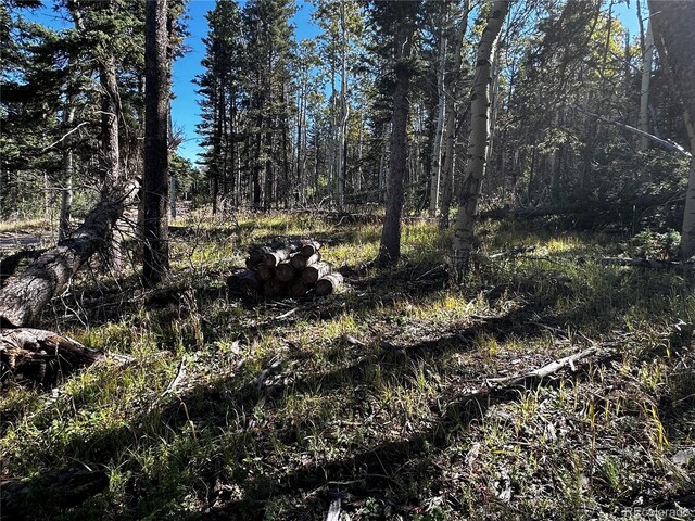 LOT2652 Petito Dr, Fort Garland, CO 81133 - photo 9