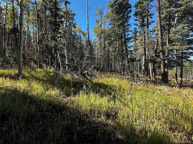 LOT2652 Petito Dr, Fort Garland, CO 81133 - photo 10