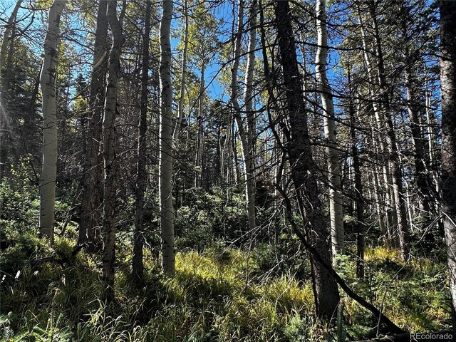 LOT2652 Petito Dr, Fort Garland, CO 81133 - photo 11