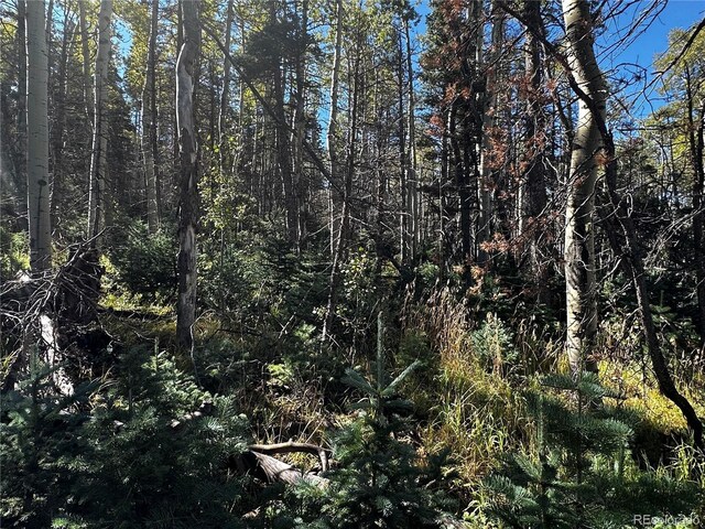 LOT2652 Petito Dr, Fort Garland, CO 81133 - photo 12