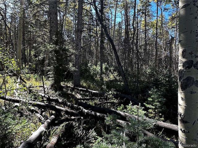 LOT2652 Petito Dr, Fort Garland, CO 81133 - photo 13