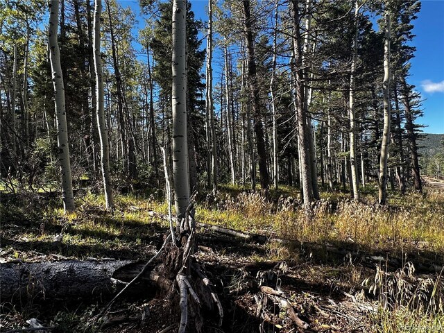 LOT2652 Petito Dr, Fort Garland, CO 81133 - photo 14