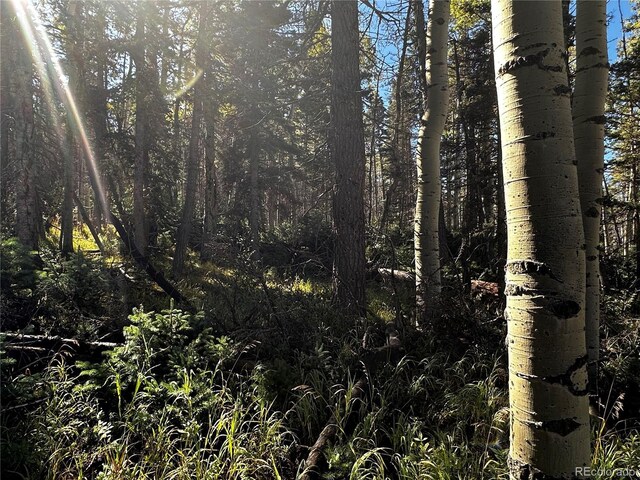 LOT2652 Petito Dr, Fort Garland, CO 81133 - photo 15