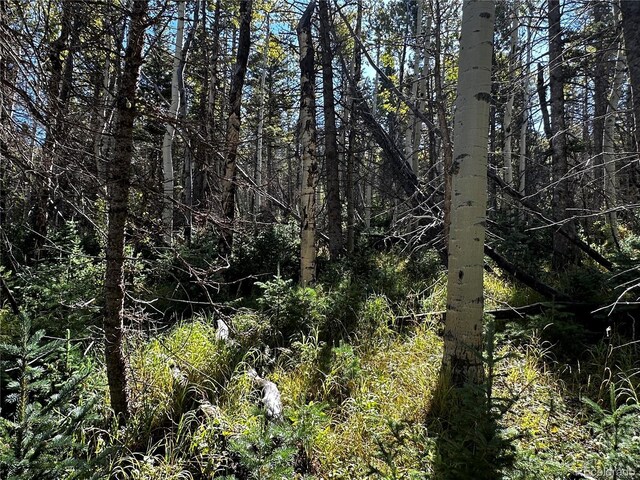 LOT2652 Petito Dr, Fort Garland, CO 81133 - photo 16
