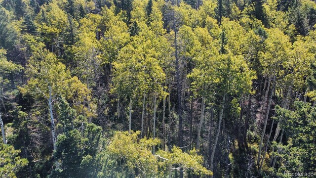 LOT2652 Petito Dr, Fort Garland, CO 81133 - photo 17