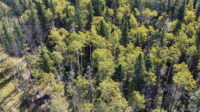 LOT2652 Petito Dr, Fort Garland, CO 81133 - photo 18