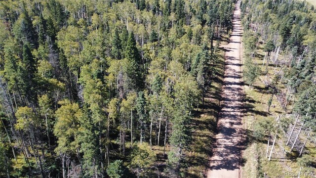 LOT2652 Petito Dr, Fort Garland, CO 81133 - photo 19