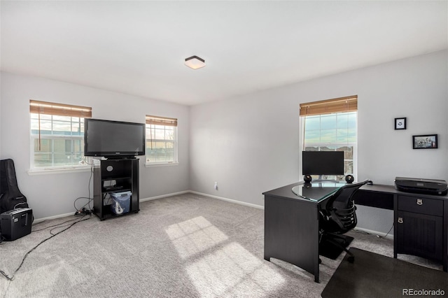 office with light colored carpet