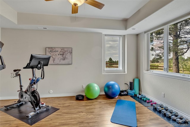 workout room with ceiling fan, hardwood / wood-style floors, a wealth of natural light, and a tray ceiling