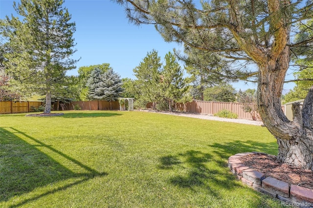 9385 Pepperwood Ln, Highlands Ranch, CO 80126 - view of fenced backyard